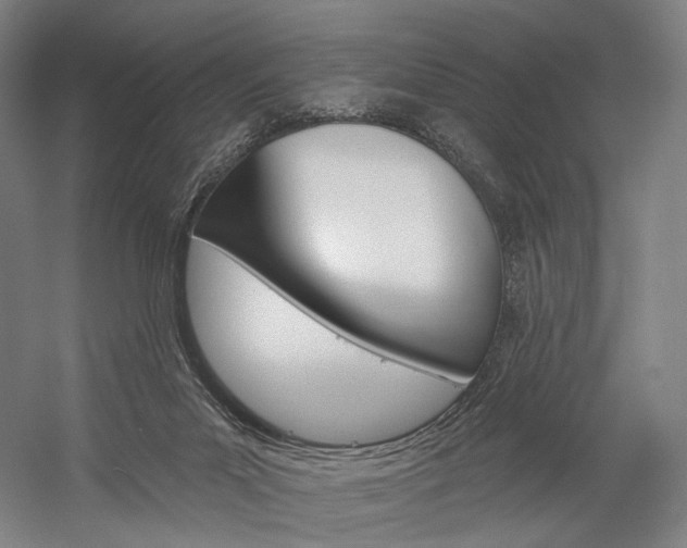 X0000060220023200510280923