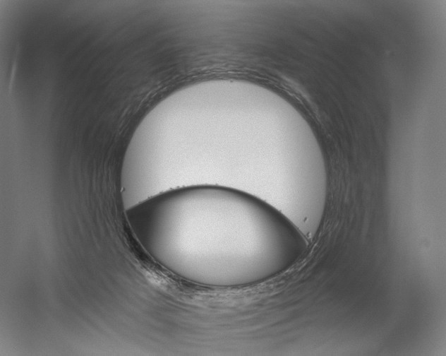 X0000060220025200510280923