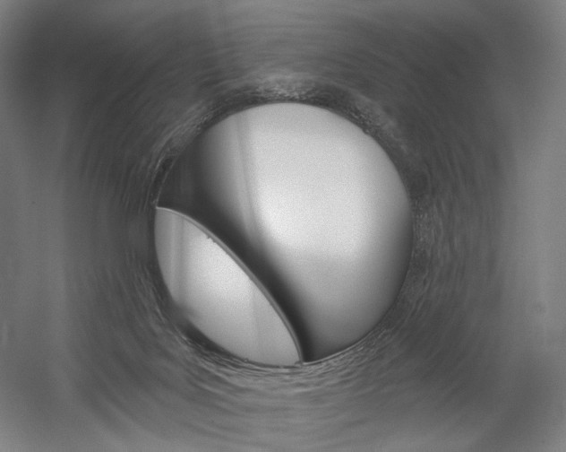 X0000060220027200510280923