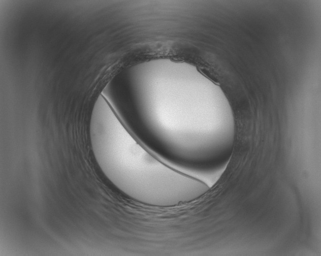 X0000060220035200510280923
