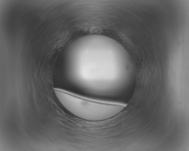X0000060220039200510280923
