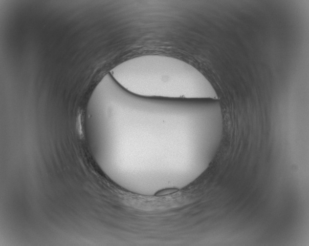 X0000060220042200510280923