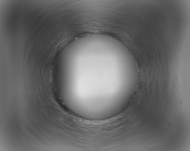 X0000060220043200510280923
