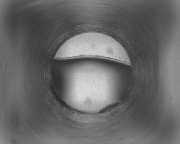 X0000060220044200510280923