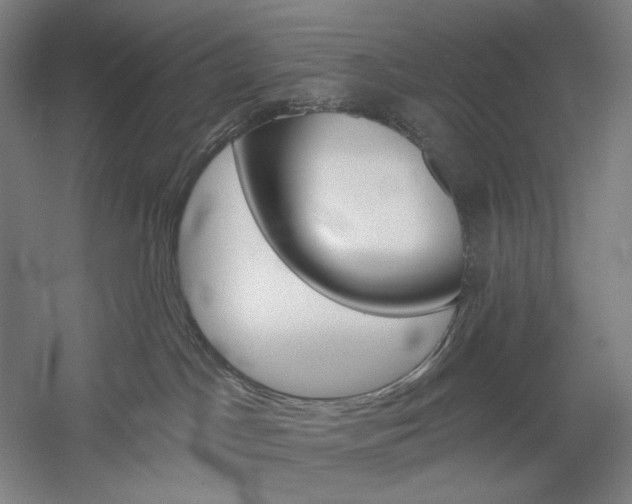 X0000060220045200510280923