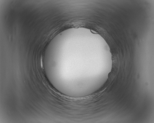 X0000060220046200510280923