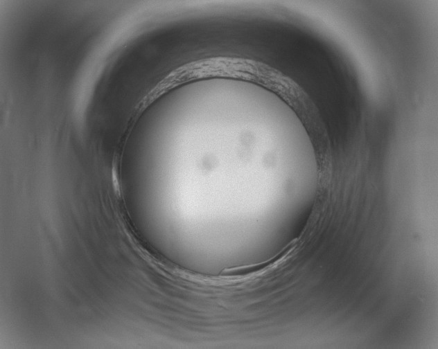 X0000060220047200510280923