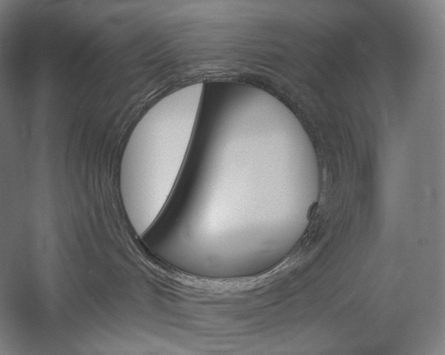 X0000060220048200510280923