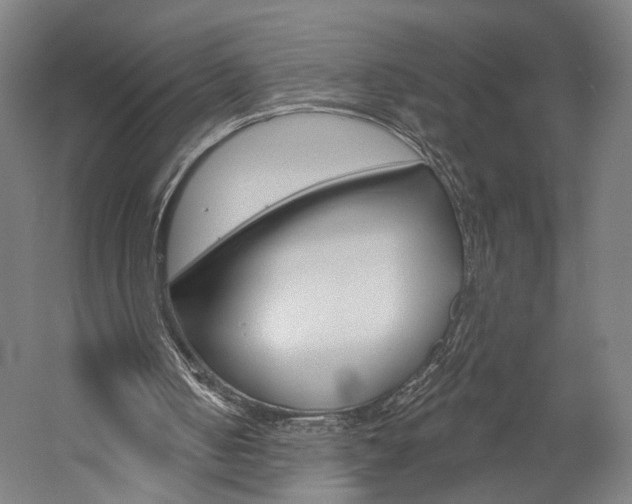 X0000060220050200510280922