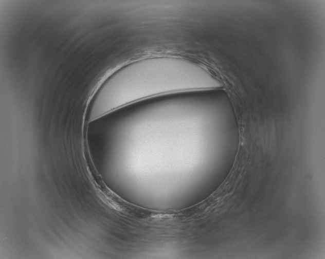 X0000060220052200510280922