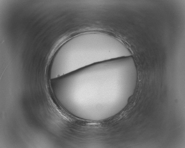 X0000060220053200510280922