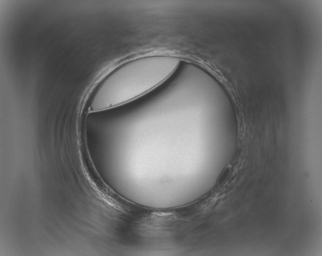 X0000060220055200510280922