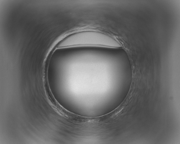 X0000060220056200510280922