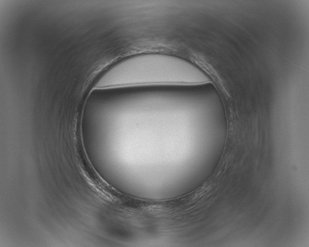 X0000060220058200510280922