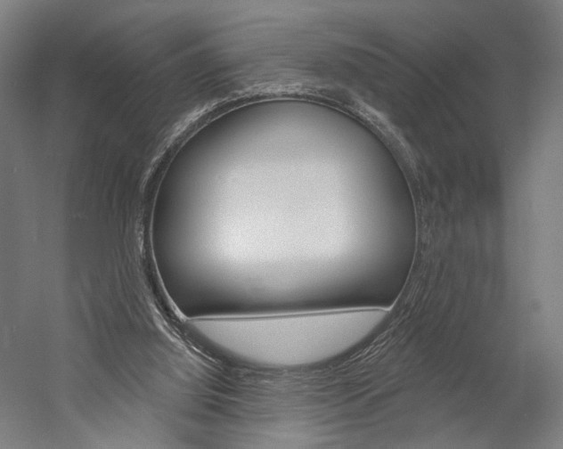 X0000060220060200510280922