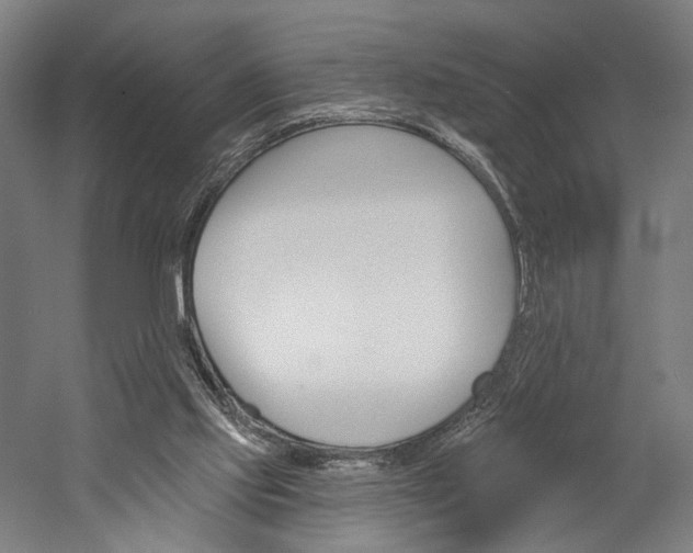 X0000060220061200510280922