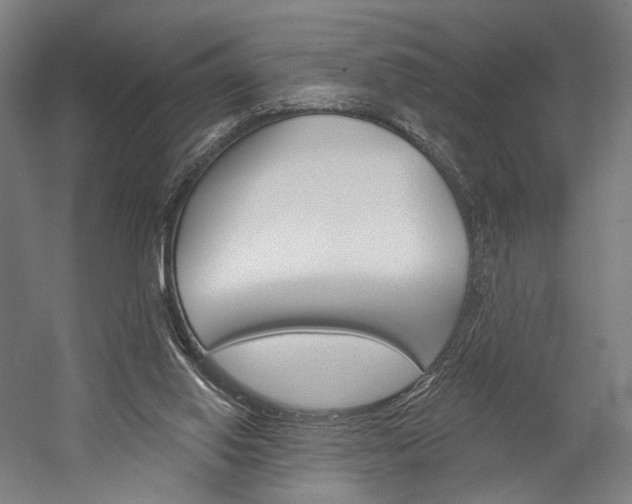 X0000060220062200510280922