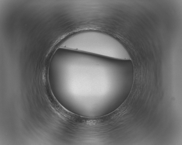 X0000060220064200510280922