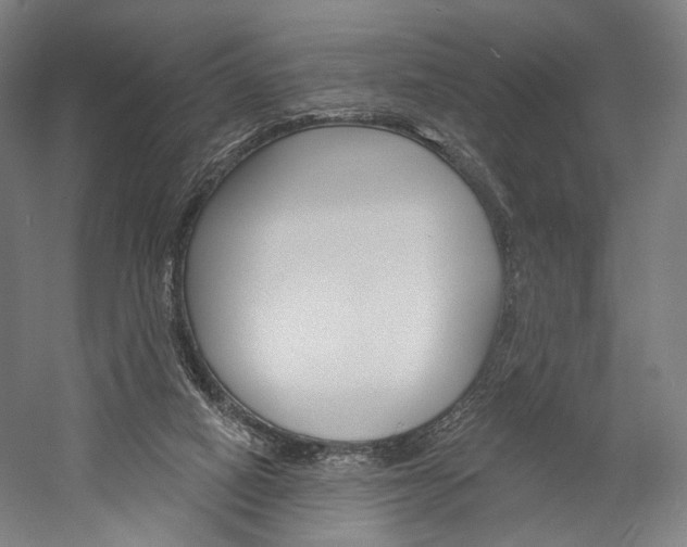 X0000060220066200510280922