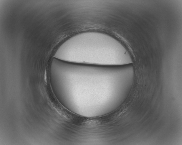 X0000060220067200510280922
