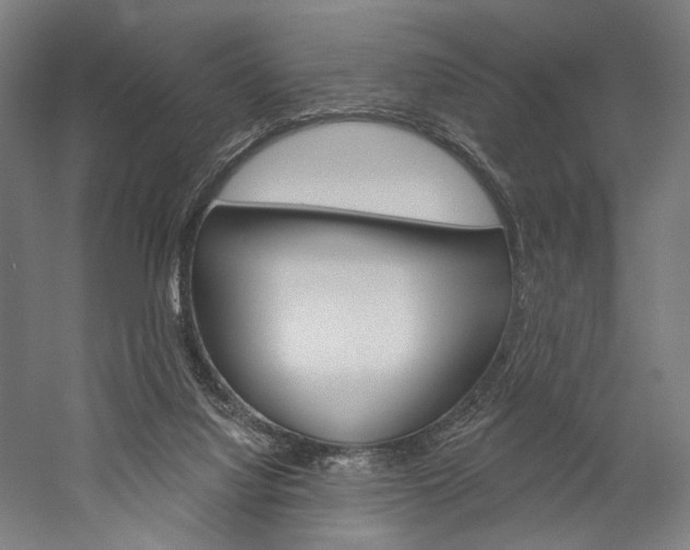 X0000060220068200510280922