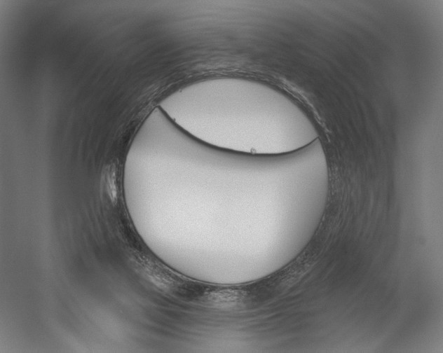 X0000060220069200510280922