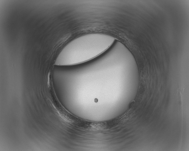 X0000060220070200510280922