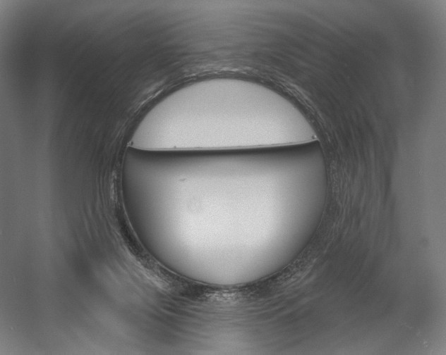X0000060220071200510280922