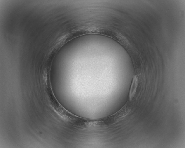 X0000060220072200510280922