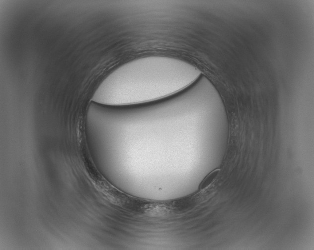 X0000060220074200510280922