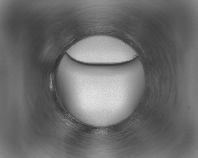 X0000060220075200510280922