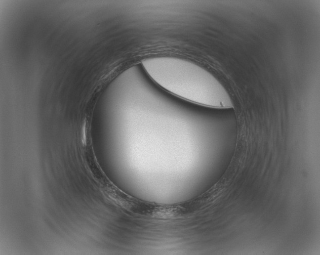X0000060220076200510280922
