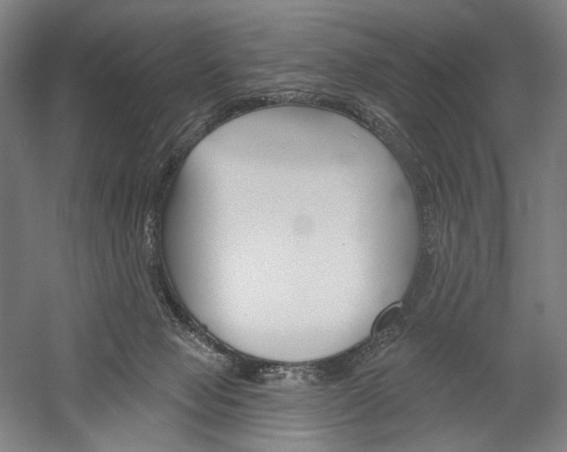 X0000060220077200510280922
