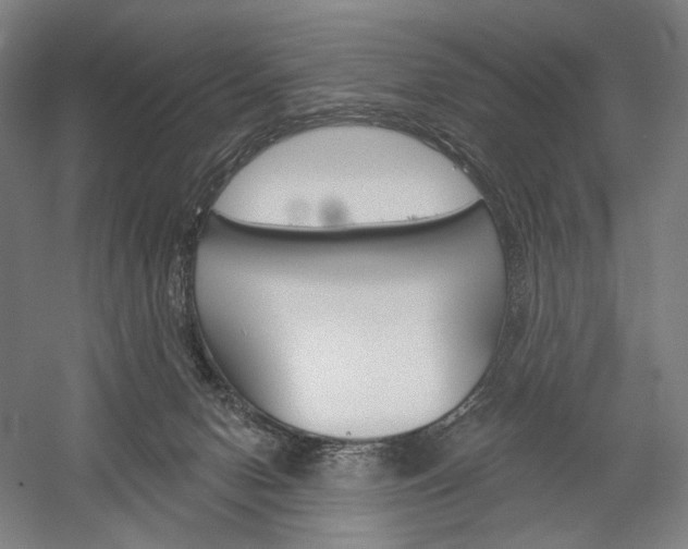 X0000060220078200510280922