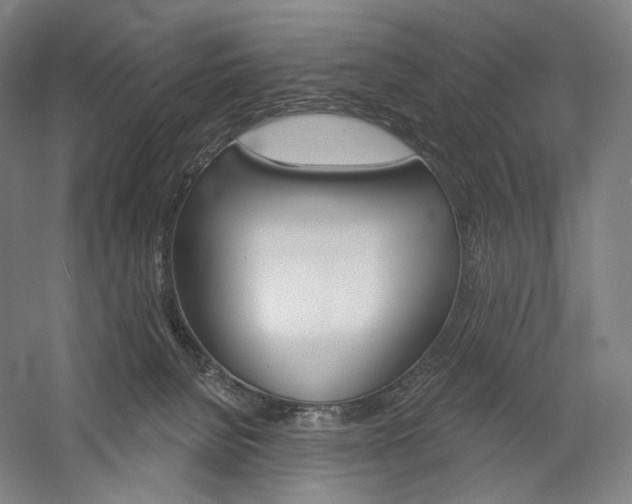 X0000060220080200510280922
