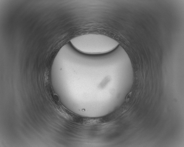 X0000060220081200510280922
