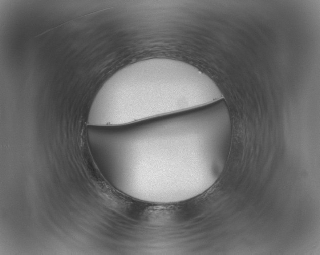 X0000060220082200510280922