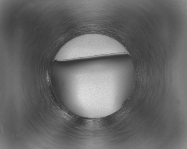 X0000060220089200510280923