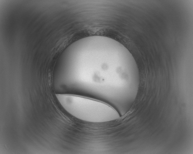 X0000060220090200510280923