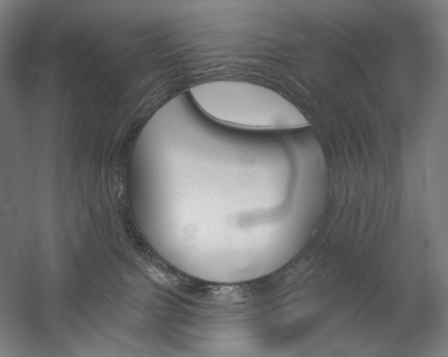 X0000060220091200510280923