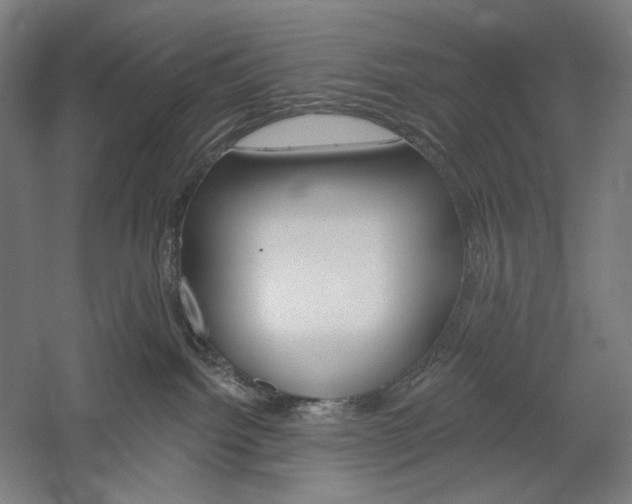 X0000060220092200510280923