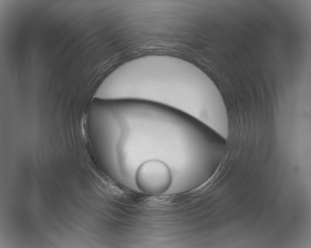 X0000060220094200510280923