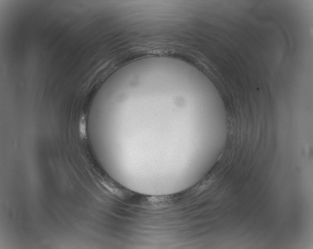 X0000060220095200510280923