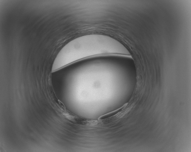 X0000060220096200510280923
