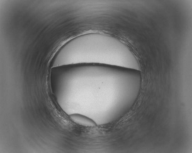 X0000060220098200510280922