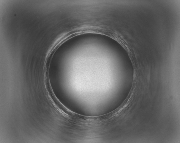 X0000060220101200510280922