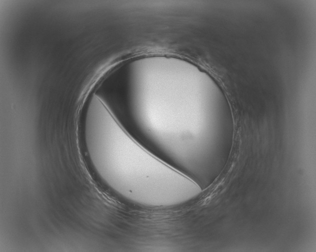 X0000060220103200510280922