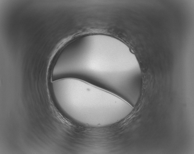 X0000060220104200510280922