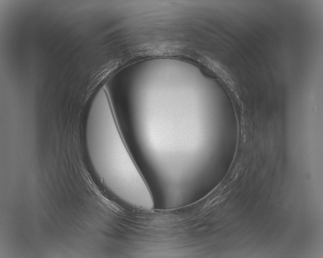 X0000060220105200510280922