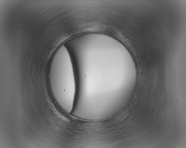 X0000060220106200510280922